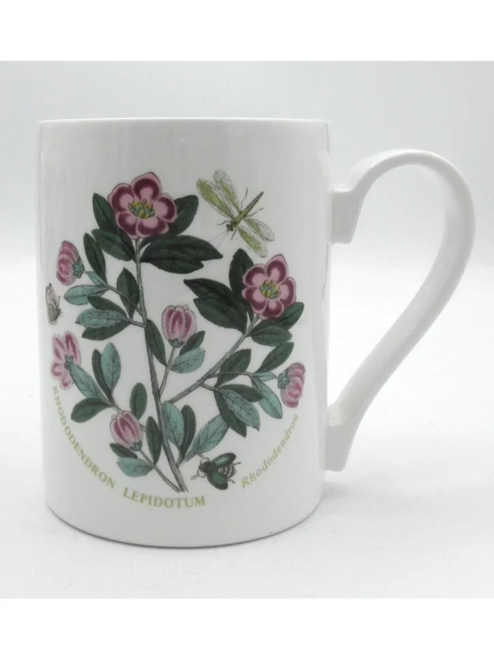 Portmeirion Botanic Garden 12 Ounce Mugs Set of 5 Assorted Pattern Code: PRTBOG